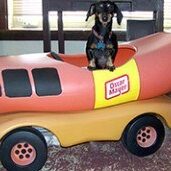 Blue wienermobile Blue wienermobile